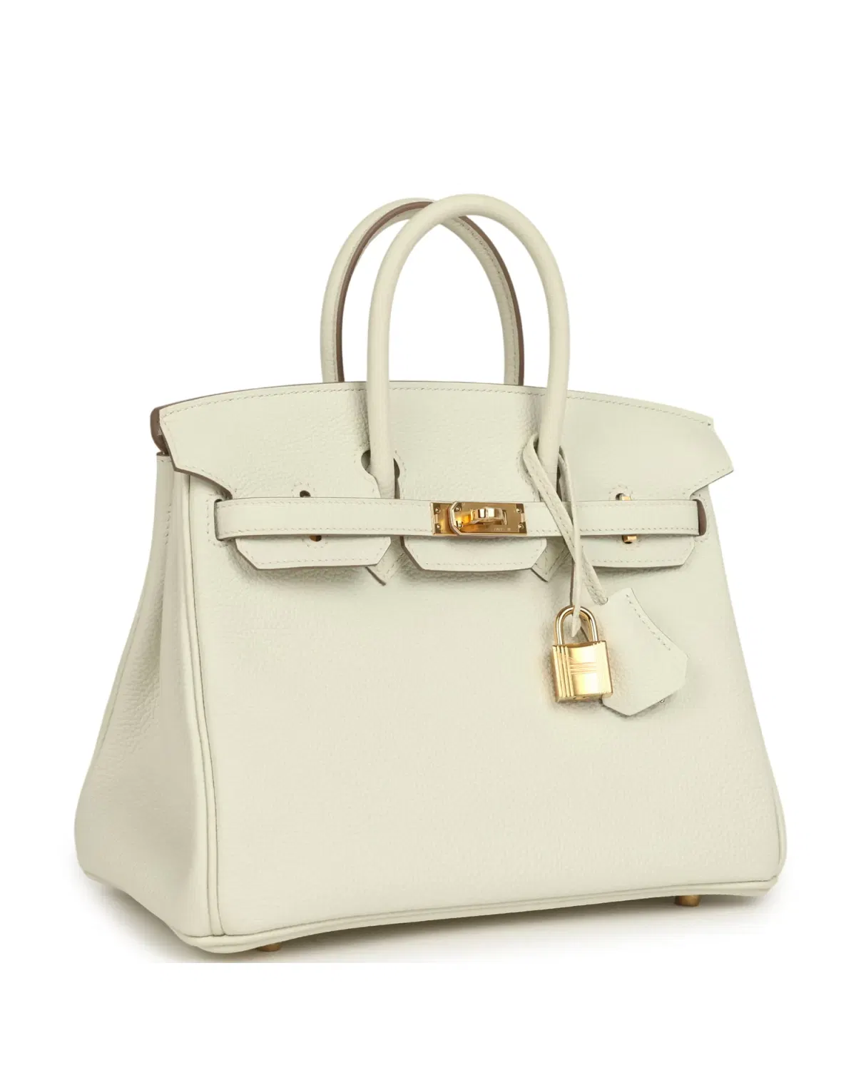 Hermès Birkin 25, Mushroom