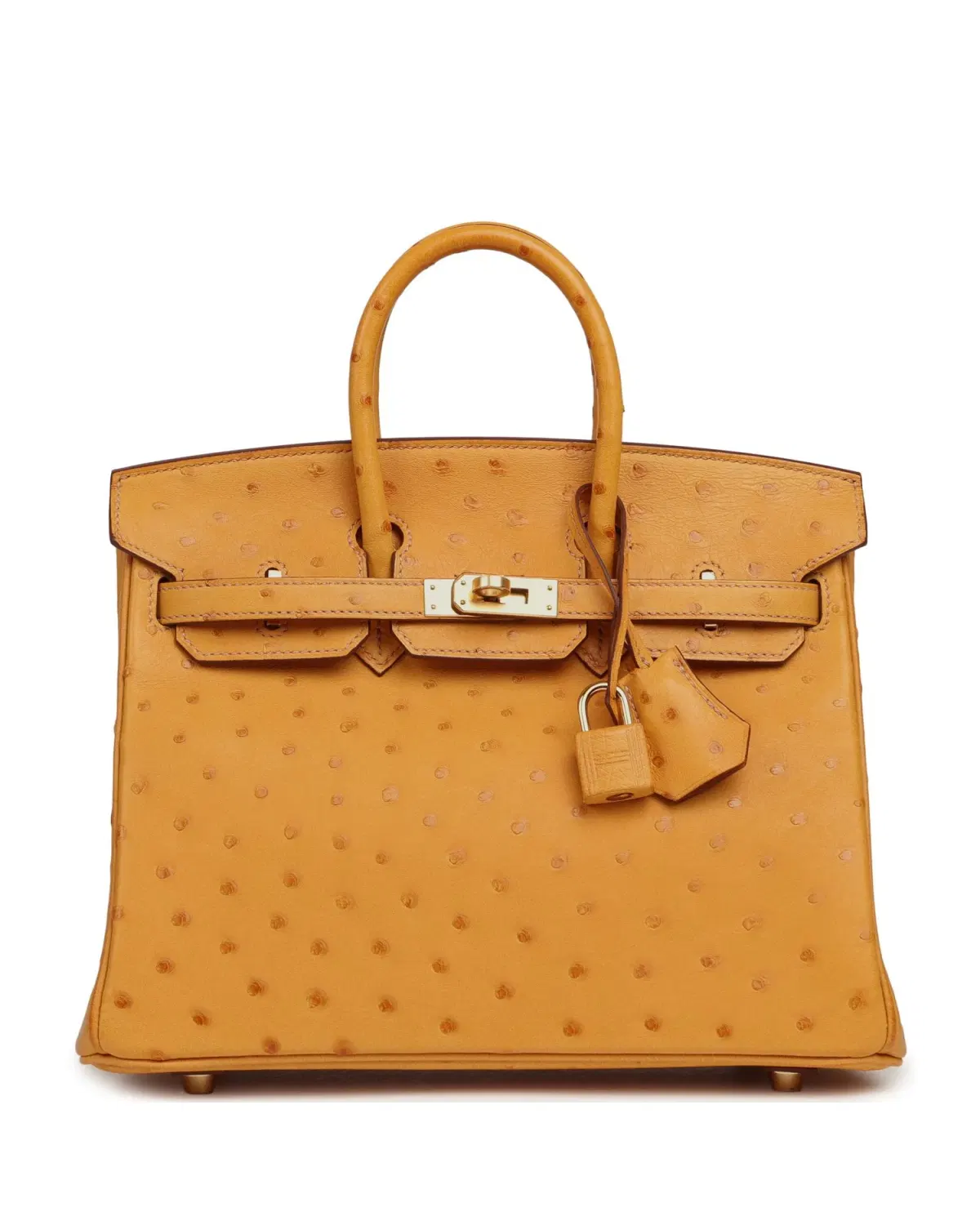 Hermès Birkin 25, Safran