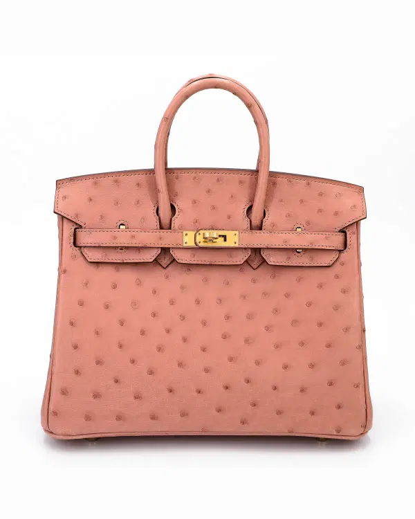 Hermès Birkin 25, Terre Cuite