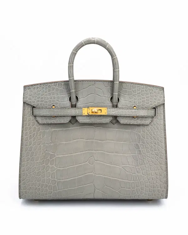 Hermès Birkin Sellier 25, Gris Perle