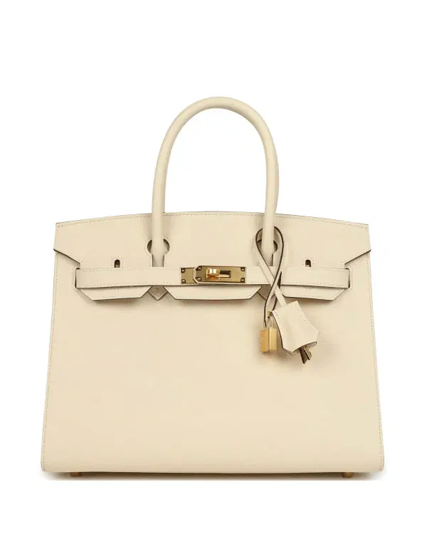Hermès Birkin Sellier 30, Nata